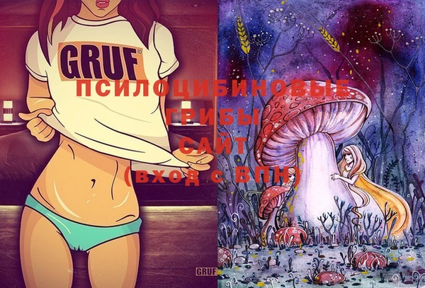 PSILOCYBIN Касимов