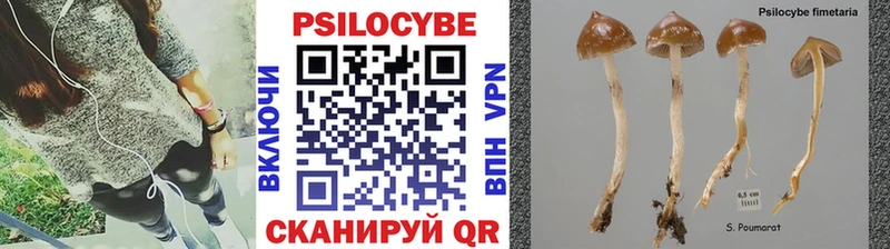 Купить где  Борисоглебск  Псилоцибиновые грибы Psilocybe 